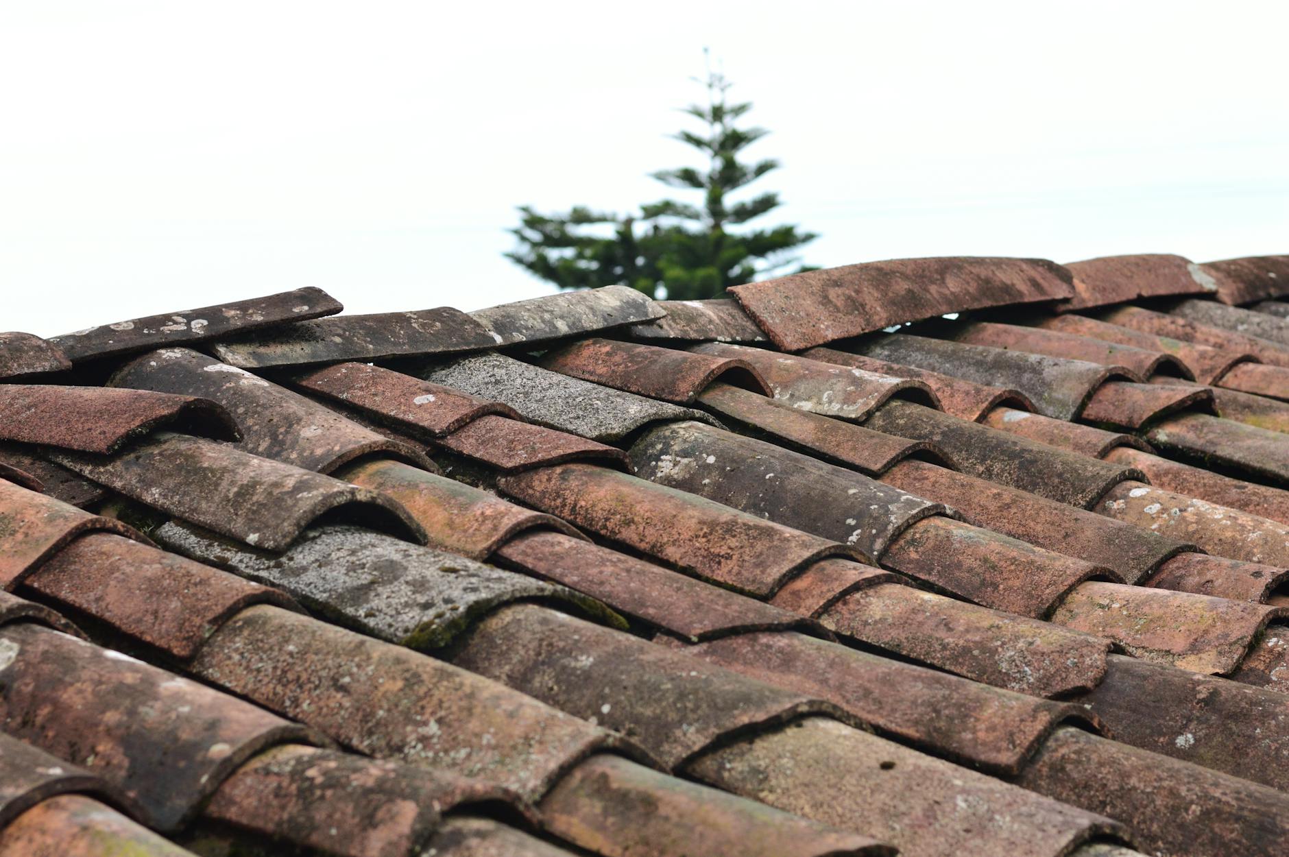 Is Your Roof Damaged?