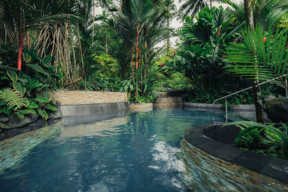 Discover a serene tropical oasis featuring lush greenery and a tranquil pond, ideal for relaxation.