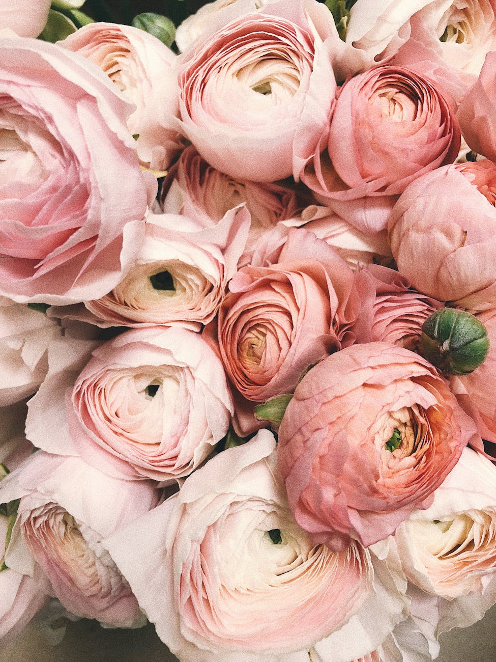 The 2025 Wedding Checklist: What Every Couple Should Prioritise