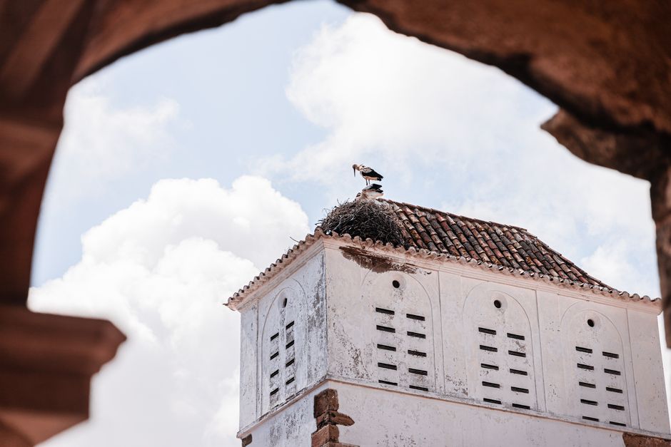 Marrakech vs Fes: The Better Culture Trip in 2026