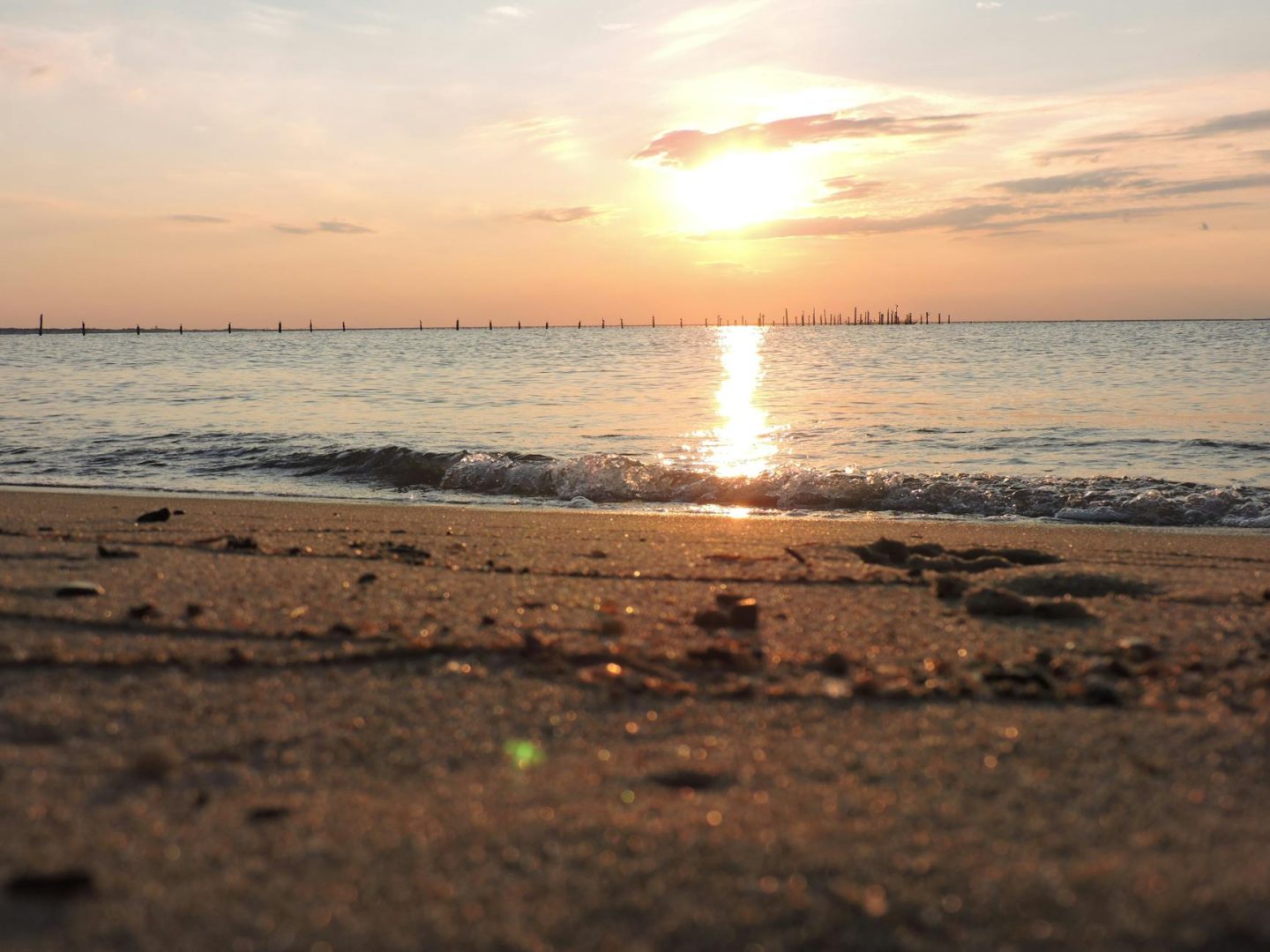 Romantic Escapes and Celebrations: Discovering the Perfect Norfolk Wedding Venue and Boutique Hotels Norfolk