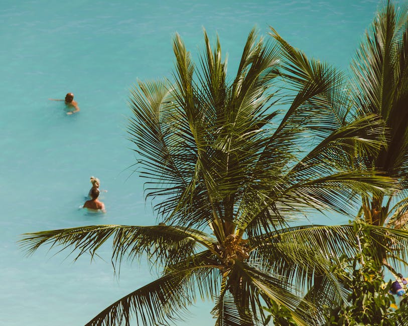 A serene tropical scene featuring swimmers in a lagoon and lush palm trees overhead.